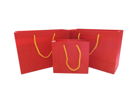 手提袋(dài)定制